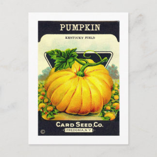Cartão Postal Embalagem de sementes de abóbora de Dia das Bruxas