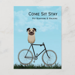 Cartão Postal Embarque De Cães, Caminho, Sessão, Formação Profis