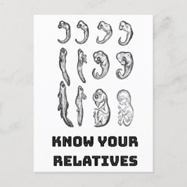 Cartão Postal Embriogênese Evolutiva