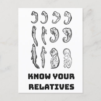 Cartão Postal Embriogênese Evolutiva