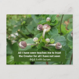 Cartão Postal Emerson Cote Flor Buds Faith Confia no Criador