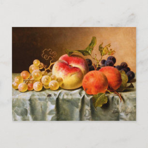 Cartão Postal Emilie Preyer: Frutas com a Fly