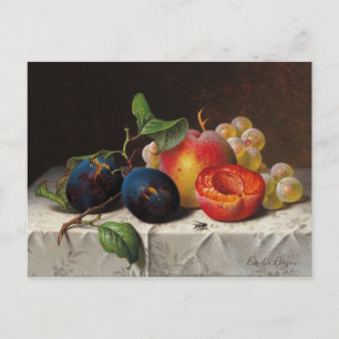 Cartão Postal Emilie Preyer: Frutas e Mosca