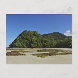 Cartão Postal Emmagen Beach, Daintree National Park (UNESCO 2