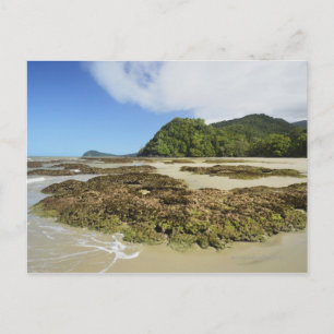 Cartão Postal Emmagen Beach, Daintree National Park (UNESCO 3)