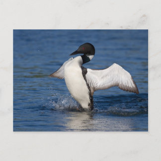 Cartão Postal Empréstimo IV