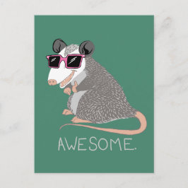 Cartão Postal Encantado Incrível Possum