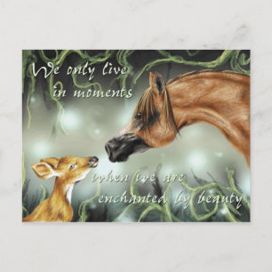 Cartão Postal Encantado pela beleza