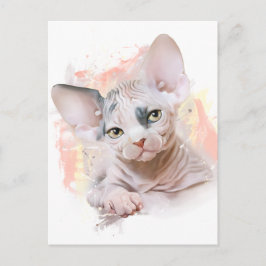 Cartão Postal Encantamento