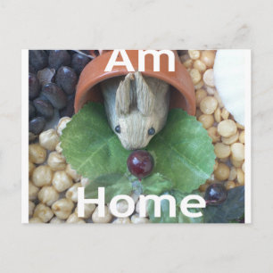 Cartão Postal Encantamento de coelho bonito