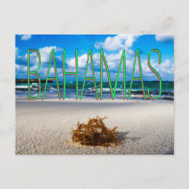 Cartão Postal Encerramento da praia de Bahamas