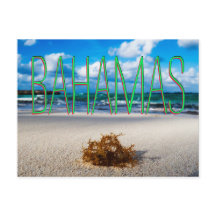 Encerramento da praia de Bahamas