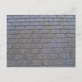Cartão Postal Encerramento De Azulejos De Telhado Com Lichens