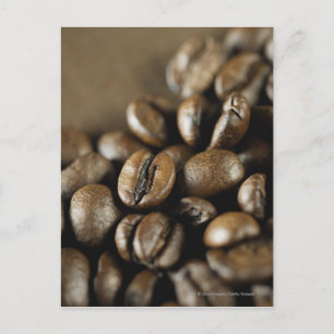 Cartão Postal Encerramento de grãos de café