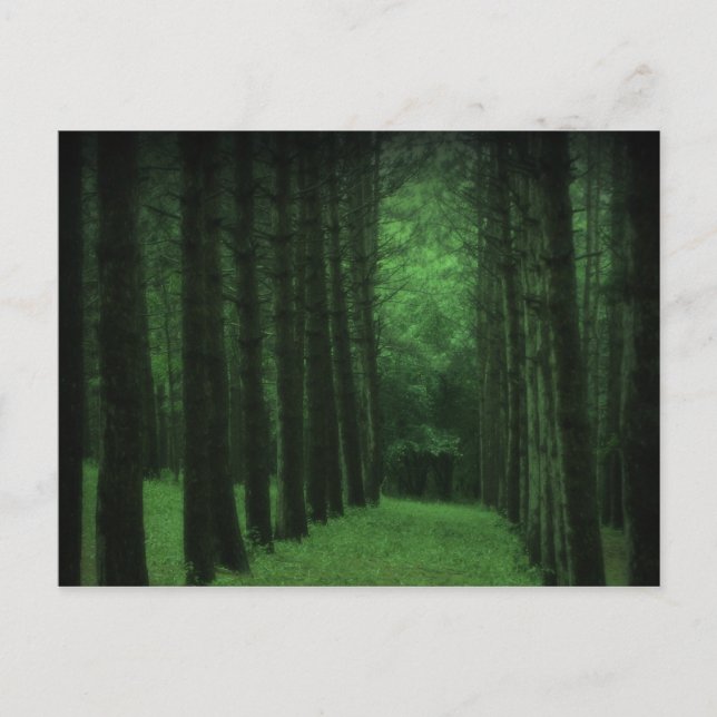 Cartão Postal Enchanted Forest Postcard (Frente)