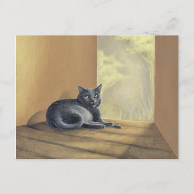 Cartão Postal Encontrado Na Natureza (Frente)