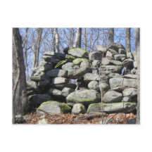 Encontre A Pedra Cerimonial Das Tartarugas