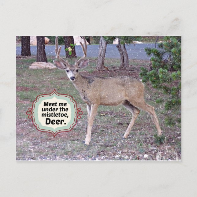 Cartão Postal Encontre-me sob a Mistura (Frente)