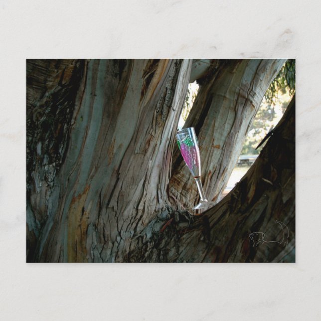 Cartão Postal Encontre o lugar e o tempo perfeitos para o vinho (Frente)