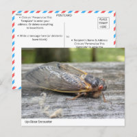 Encontro Apertado com a Natureza: Cartão-postal Ci