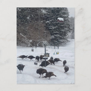 Cartão Postal Encontro de festas no PC Winter se reunindo