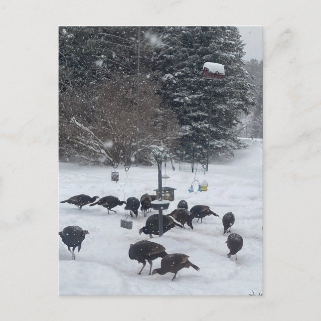 Cartão Postal Encontro de festas no PC Winter se reunindo (Frente)