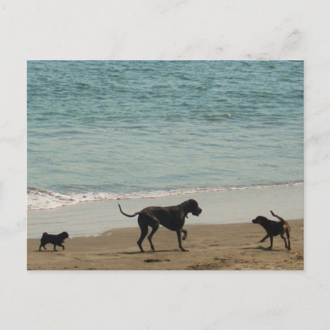 Cartão Postal Encontro e Cumprimento (Frente)