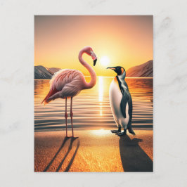 Cartão Postal Encontro Flamingo e Penguin Sunset