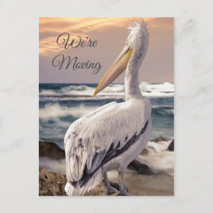 Cartão Postal Endereço de Mudança Costeira de Praia do Pelican