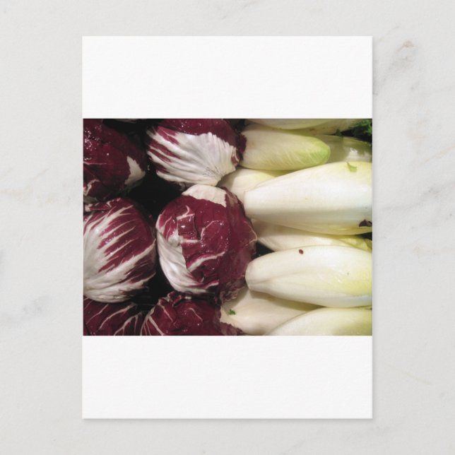 Cartão Postal Endigo da Bélgica (Frente)