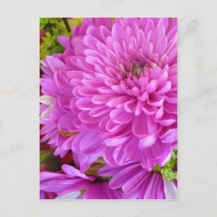 Cartão Postal Energia de flor rosa