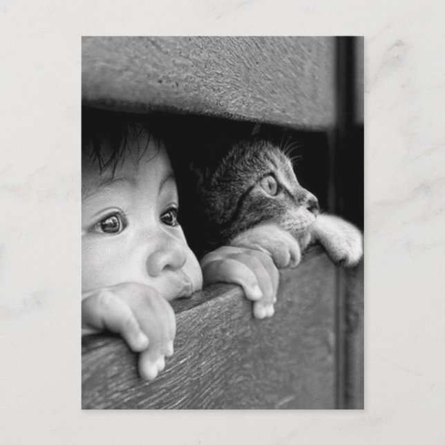 Cartão Postal Enfant et chat (Frente)