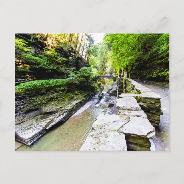Cartão Postal Enfield Glen, Robert H Treman State Park, NY (Frente)