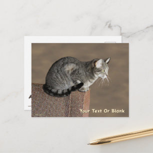 Cartão Postal Enfumaçado Cinza por Cat