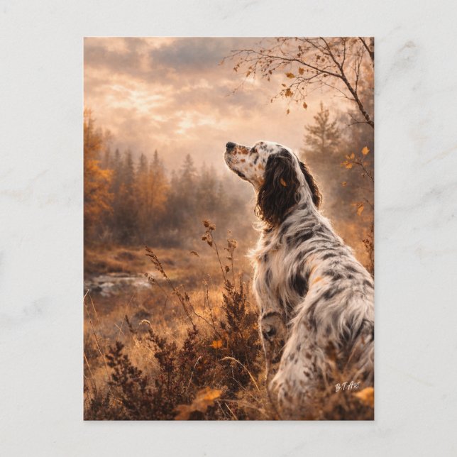 Cartão Postal English Setter (Frente)