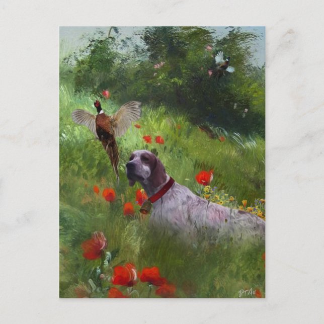 Cartão Postal English Setter , caça aos faasant (Frente)