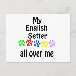 Cartão Postal English Setter Walks Design