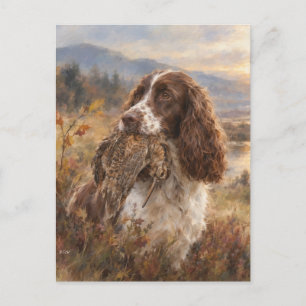 Cartão Postal English Springer Spaniel