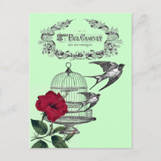 Cartão Postal Engolidos na Colagem de Voo