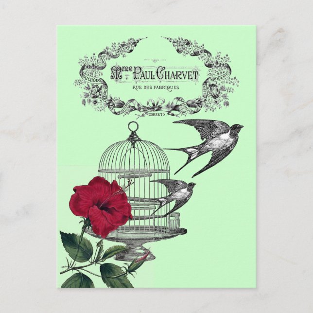 Cartão Postal Engolidos na Colagem de Voo (Frente)