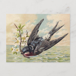 Cartão Postal Engorda voadora com galho de flores