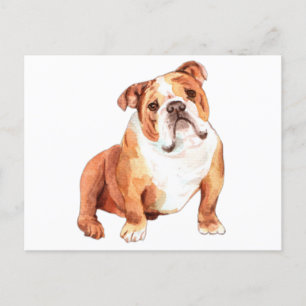 Cartão Postal Engraçada e engraçada Buldogue Britânico sentado