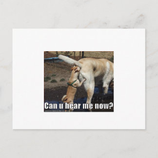 Cartão Postal engraçado