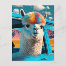 Engraçado Alpaca em cartão-postal