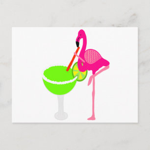 Cartão Postal Engraçado Bebendo Flamingo a Margarita