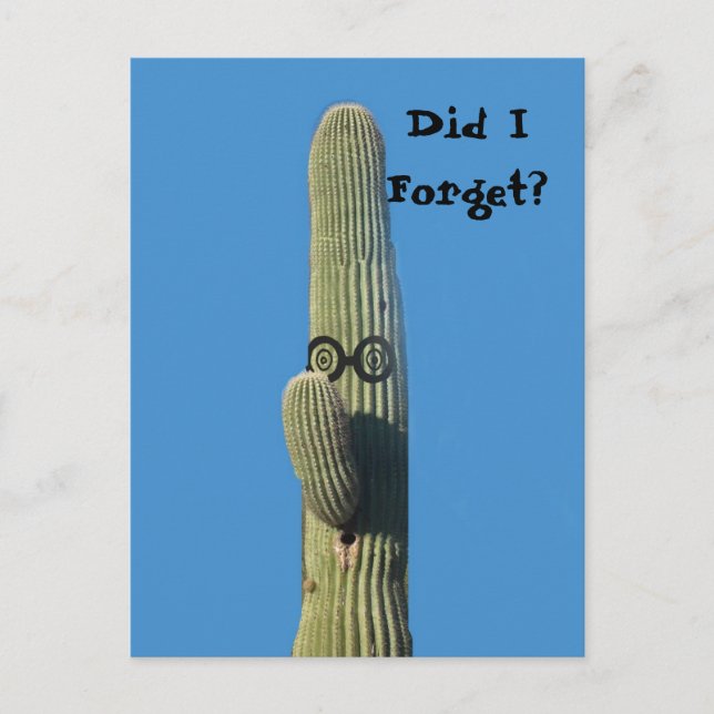 Cartão Postal Engraçado Belo Aniversário Saudação (Frente)