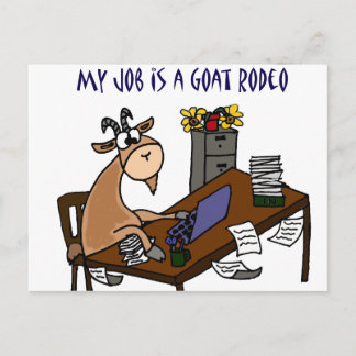 Cartão Postal Engraçado Cabra de Cabra de Cabra Rodeo Humor