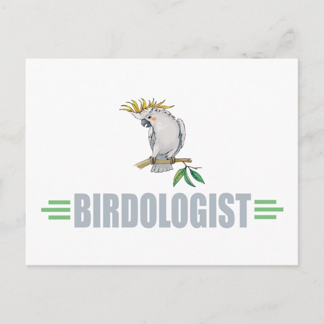 Cartão Postal Engraçado Cockatiel (Frente)
