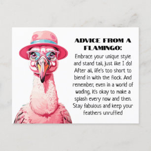 Cartão Postal Engraçado conselho de A Flamingo