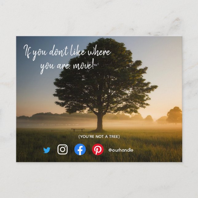 cartão postal engraçado de imóveis, você não é uma (Frente)